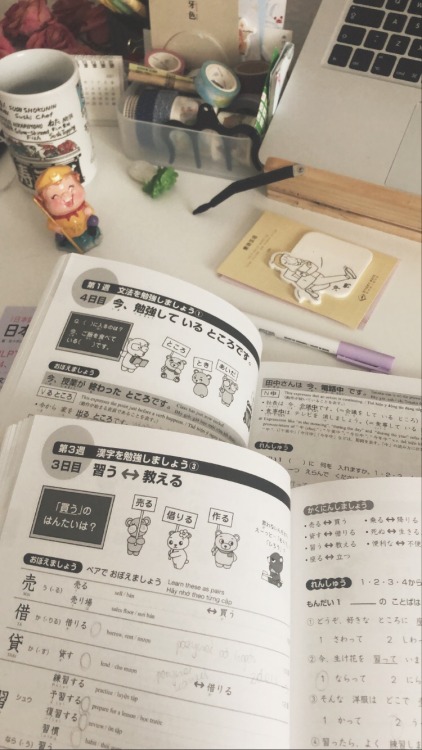 Japanese and Chinese study time! [ & ]  Japanese studygram: himekostudies  Chinese studygram: za