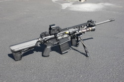 Gunrunnerhell:  Sig 716 Chambered In 7.62X51Mm/.308, This Piston Driven Ar Has Been