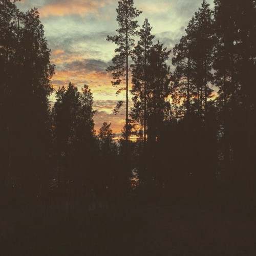 Juhannus ilta #juhannus #finland #midsummercelebrations #sunset #scandinavia #forest #vscocam #vscos