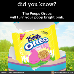 did-you-kno:  The Peeps Oreos will turn your