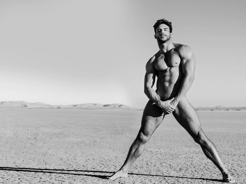 tornepl:  Willie Gomez by Kevin McDermott 