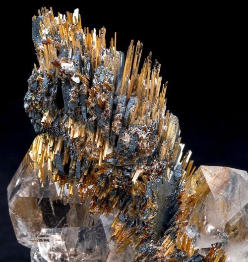 Hematite &amp; Rutile on Rutilated Quartz  - Novo Horizonte, Brazil