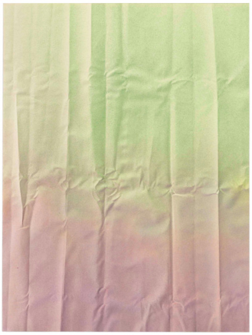  Tauba Auerbach . Sin título, 2011.152.4 x 114.3 cm.Auerbach explora los límites de nuestras estruct