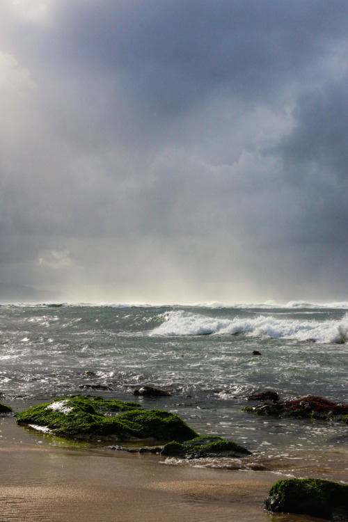 North Shore, Oahu
For last 6 months, I’ve been saving up for a new DSLR. I was back and forth on which model and finally I decided on the Canon 70D. The other day I headed up to the North Shore to play with my new toy! I’m really happy with it and...