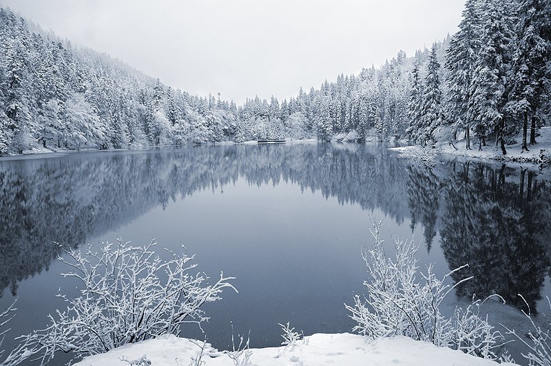 an-adventurers:  Synevyr lake, Ukraine