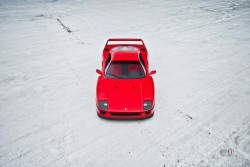 coolerthanbefore:  Ferrari F40 