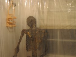 yungterra:  inturlrude:  yungterra:  naked body fresh out the shower you touch yourself afterhours  why do you have this dirty ass skeleton  he’s obviously not dirty he just took a fuckin shower got dam 