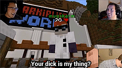 cyborgpotatogifs:  Drunk Minecraft | MARKIPLIER LAND