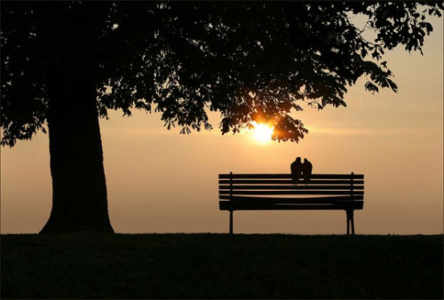 Por do sol .