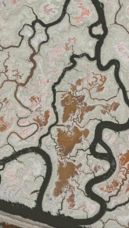 ooju:  some google maps shit