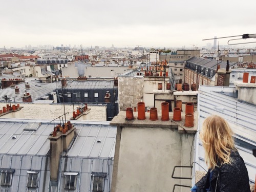 hooligan-buddha:  the best thing about roofs in Paris is theyre connected!! 