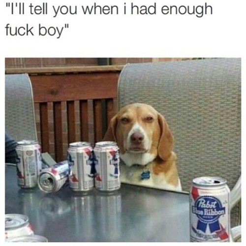 Porn photo tipsybartender:  Give him another beer. Unless