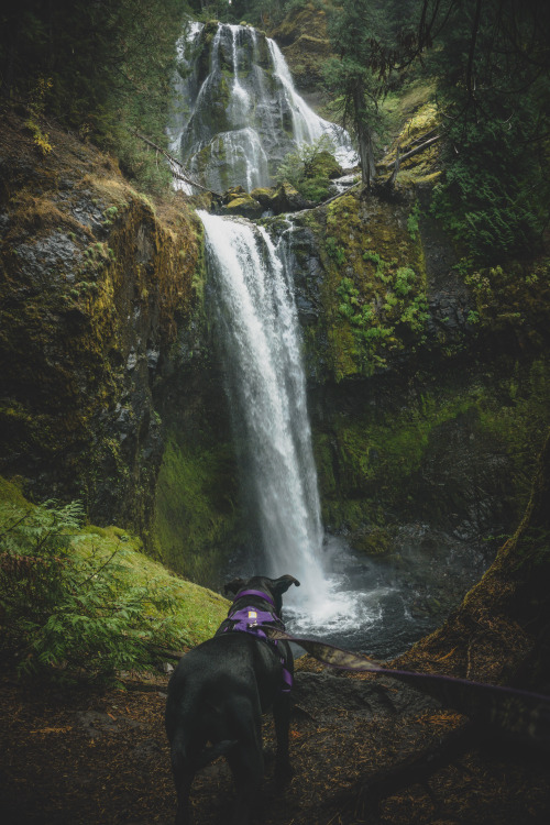 Marceline enjoys hikes, but she hates camping :b