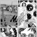 holespoles:Kenji Tsuruta &ldquo;Wondering Island&rdquo;鶴田謙二 「冒険エレキテ島」
