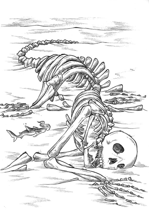 Day 12s Mermaid Was Inspired By The Blue Whale Skeleton At The Natural History Musuem.