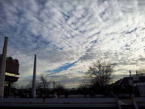 Sometimes I'm Glad I'm Not Studying Any More So I Can Just Enjoy The View #TU #Dortmund #backlight (hier: