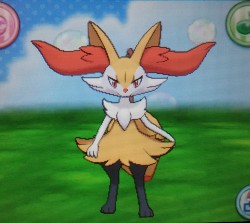 foolishcreature:  What I was waiting for the most: Braixen in Pokemon Amie! Everyone beware of the tsundere queen 