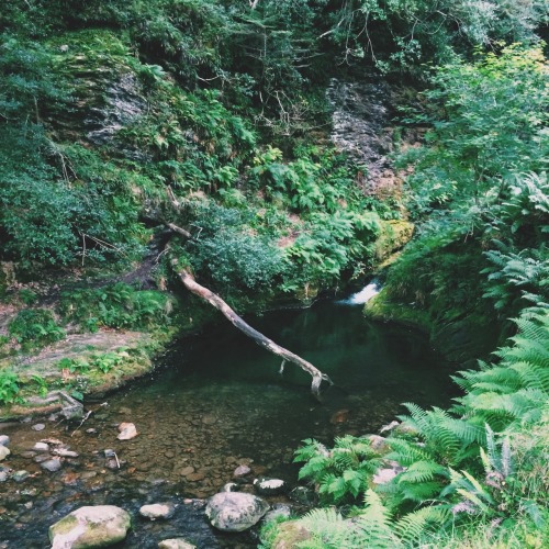 starrla89:gudegurl:wicklow national park (glendalough) 9.11 // howth cliff walk 9.18@sweetfirebird -