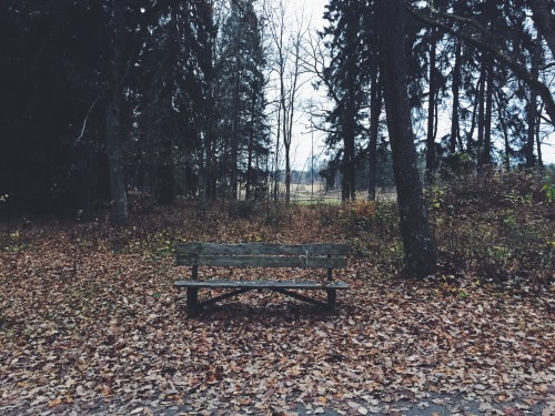 tuggiie:  Dear nature, I love you