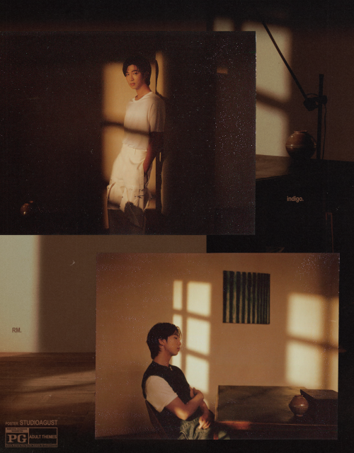 RM : INDIGO PHOTO POSTERS 221124; Ig , Twt