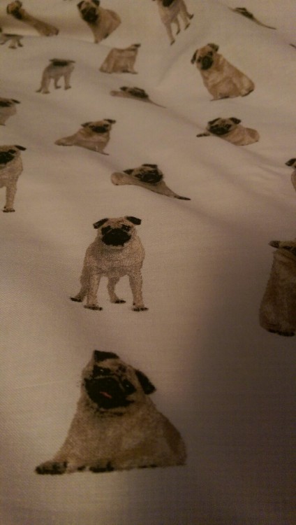 amarylisalpine: I know it’s super cheesy and stuff, but I couldn’t resist buying this be