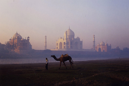 neusiedl: Ran Chakrabarti Taj Mahal, India (2005-2006)