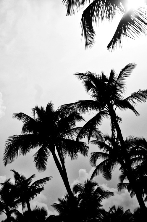 cleanandsupreme:  cleanandsupreme.com for More.