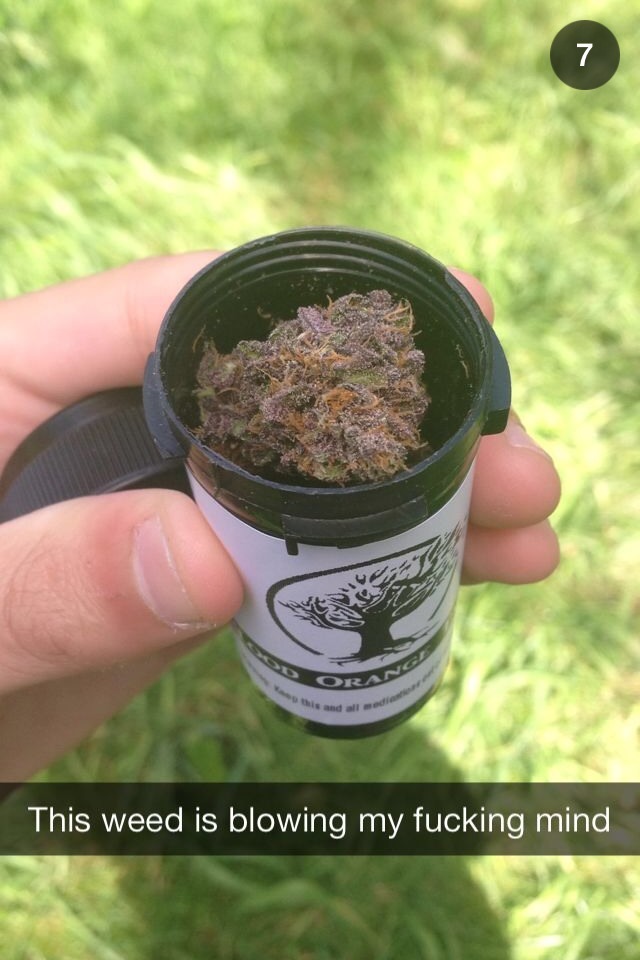 cannabaholics: