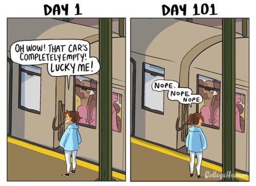 aprillikesthings: museumnelson:  republicansareahategroup:  pr1nceshawn:   Taking Public Transit: Day 1 vs Day 101.  I don’t get the last one e.e  If it is empty and the other cars are full there is a reason you don’t want to learn that reason   ^^^^^ 