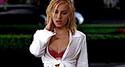 GIF PACK BREWERY ☕️ — • ELISHA CUTHBERT “GIRL NEXT DOOR” GIF PACK