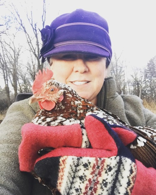 Happy Saturday everybody! I’m having a lazy day hanging out with my hens while Poppy + Stella 