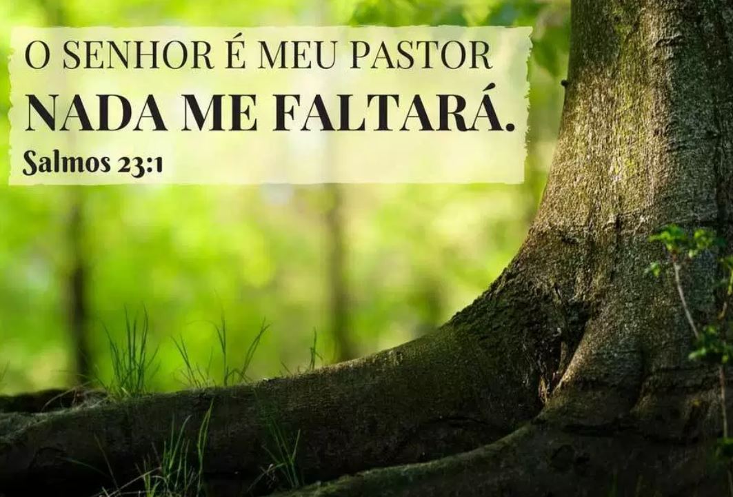 O Senhor é o meu pastor: nada me faltará. Ele me faz d…