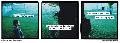 softerworld:A Softer World: 1075(i have never seen them scared before)buy this print