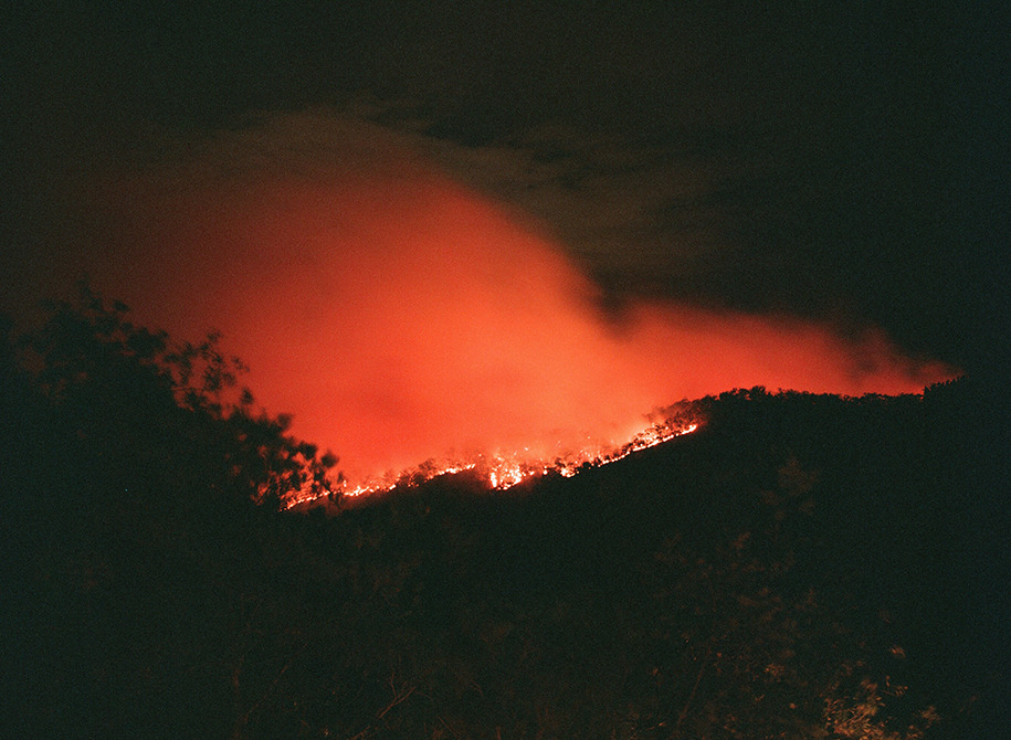 untrustyou:  Lana Adams The Fire (2013)