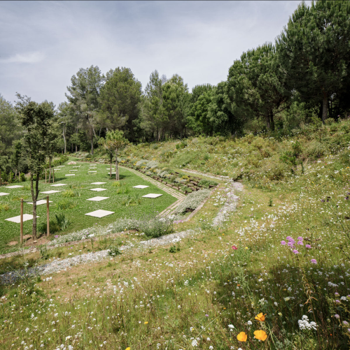 PATH OF THE FOREST Roques Blanques, el papiol, BarcelonaBy BatlleiroigPhotos by Jordi Surroca“