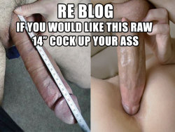 slmpigbottm:  LOVE A BIG FAT LONG SLAMMED RAW TOP COCK! 