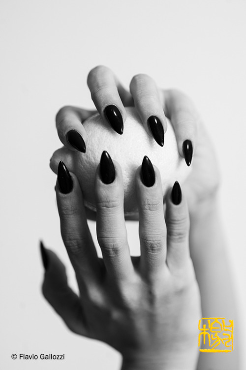 Sensual hands with black laquered fingernails. Photo © Flavio Gallozzi - All rights reserved.