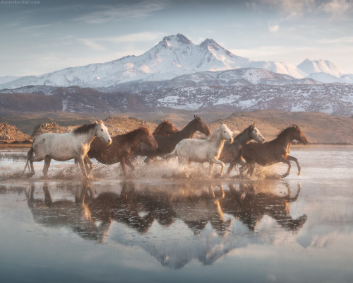 beautifulklicks:  Land of beautiful horses Daniel Korjonov  Cappadocia means “Country of beautiful h