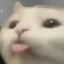 nightc0rpse