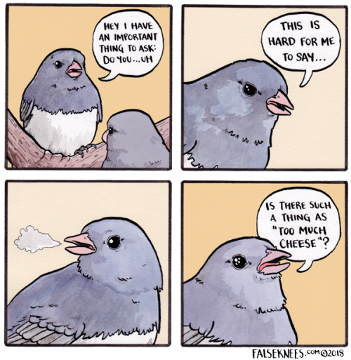the-last-hair-bender: falseknees:It’s a philosophical query No.