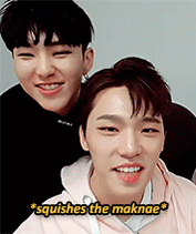 amemericans:Seventeen member V*Live moments: Hoshi#PrinceHOSHIday