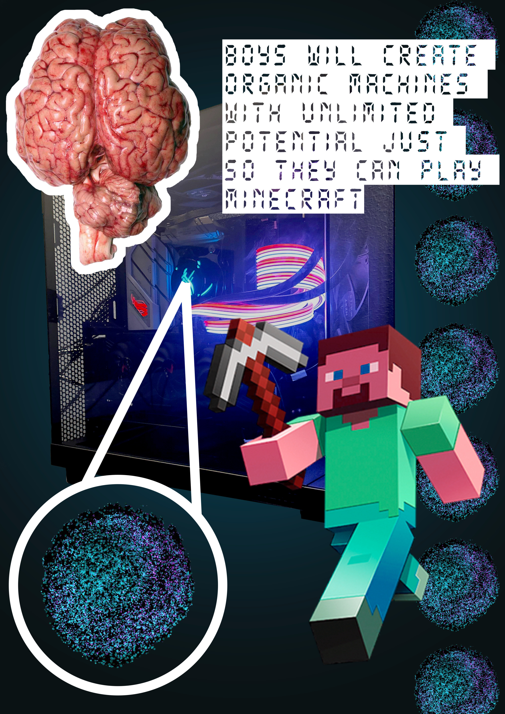 organoid