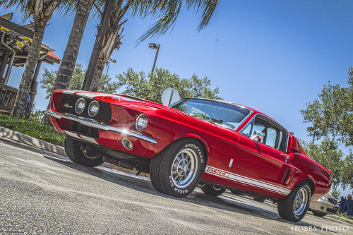 hobbs-photo:  Ford Mustang GT 500Hooters of Sanford, FL