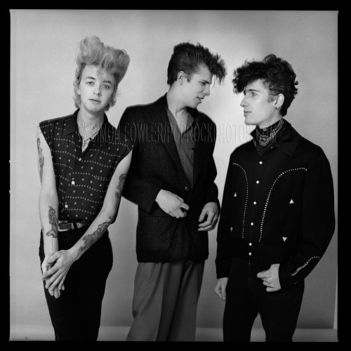 Porn photo k-a-t-i-e-:  Stray Cats 