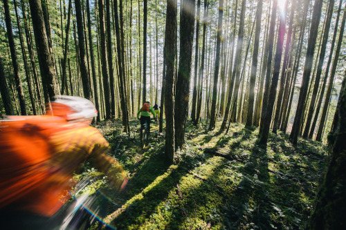 horsthimself:  sunshine coast 2015