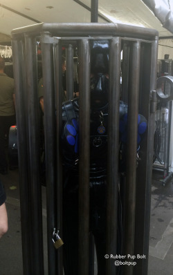 Pupbolt:  Caged At The Folsom Europe 2014 Street Party. The Leather Guy Who Owned