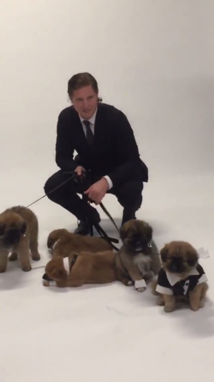 RMNB teasing us with these low quality images of Nicky in a suit, with puppies IN SUITS.
