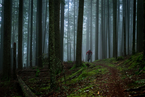 ericmickelson:  It’s a beautiful morning, the trails are perfect after some much needed rain, and…  I broke my bike frame.  Bummed.  Here’s a shot of me and my trusty steed during happier times, taken by my wife on a misty Orcas Island ride this
