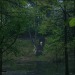 jasminejarss:After Yang (2022) dir. Kogonada