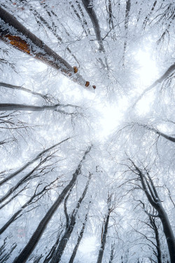 infinite-paradox: Frosted | by Stephan Amm.